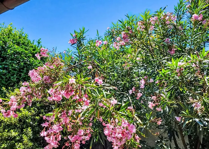 Isabella By Interhome Ascona